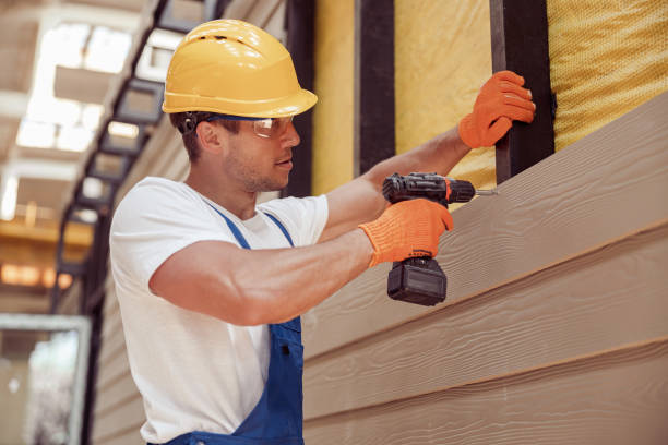 Best Insulated Siding Installation  in Sunland Park, NM