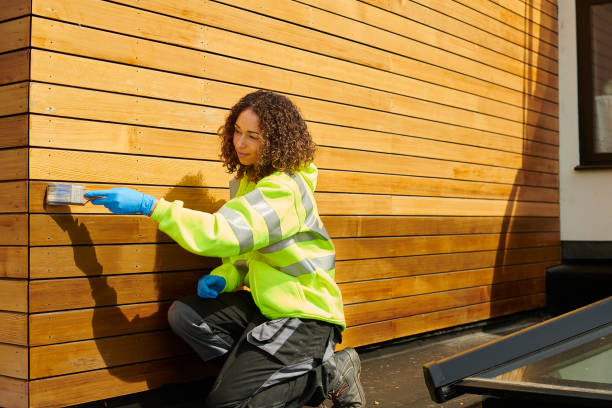 Best Fiber Cement Siding Installation  in Sunland Park, NM