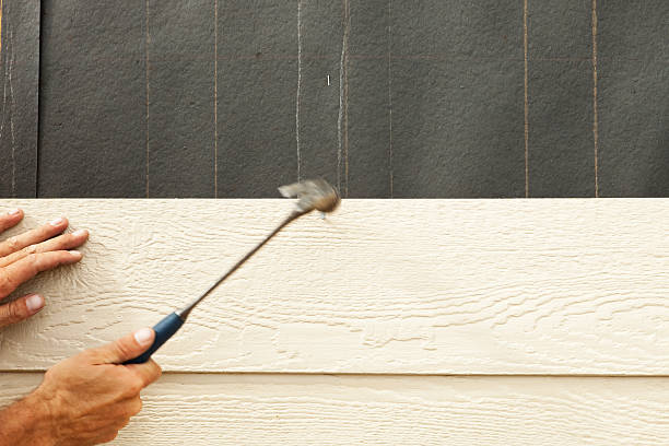 Best Stone Veneer Siding  in Sunland Park, NM